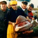 Pinuccio Fiorentino e lo squalo di quattro tonnellate pescato quando aveva 20 anni